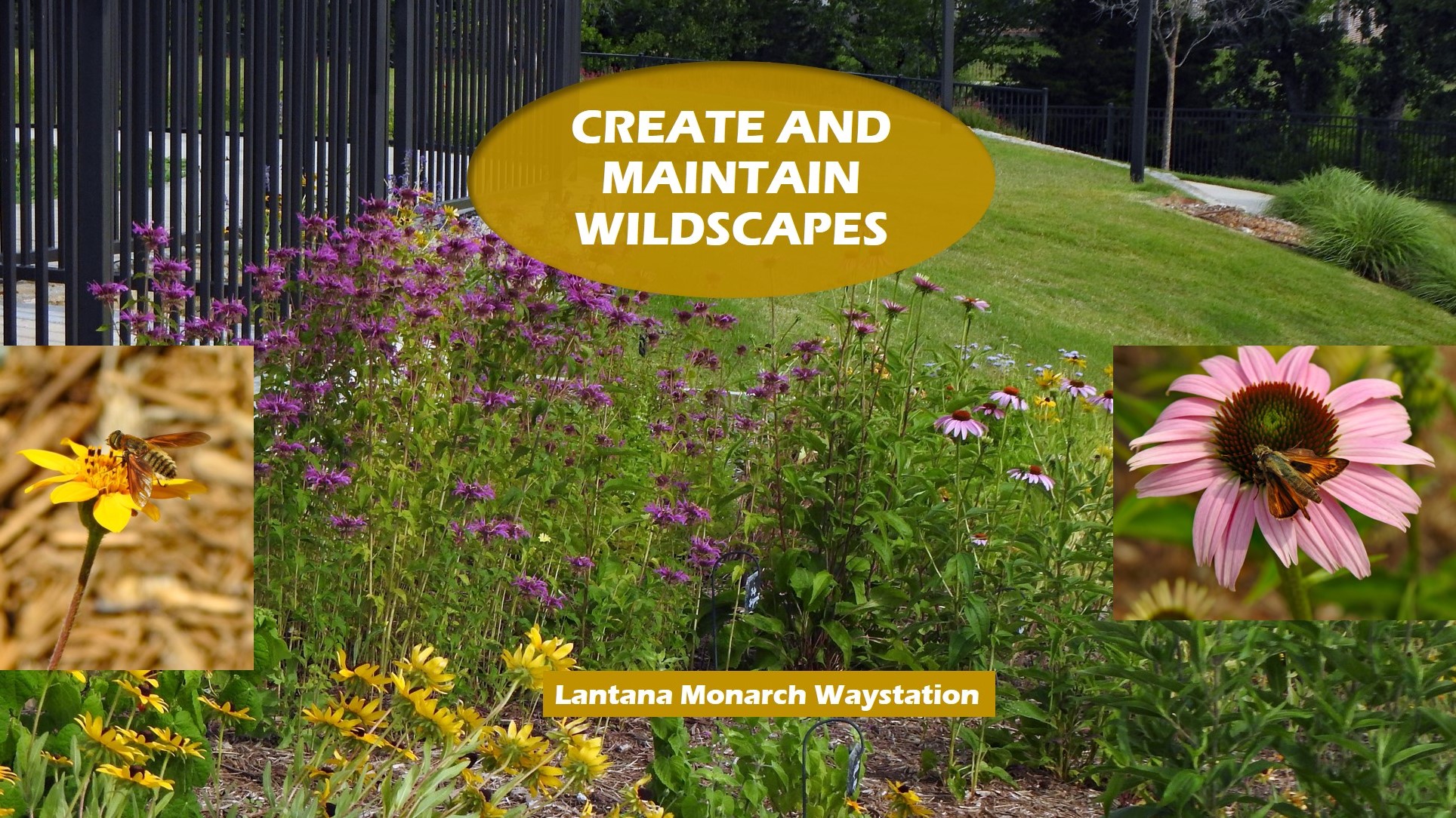 Create and Maintain Wildscapes