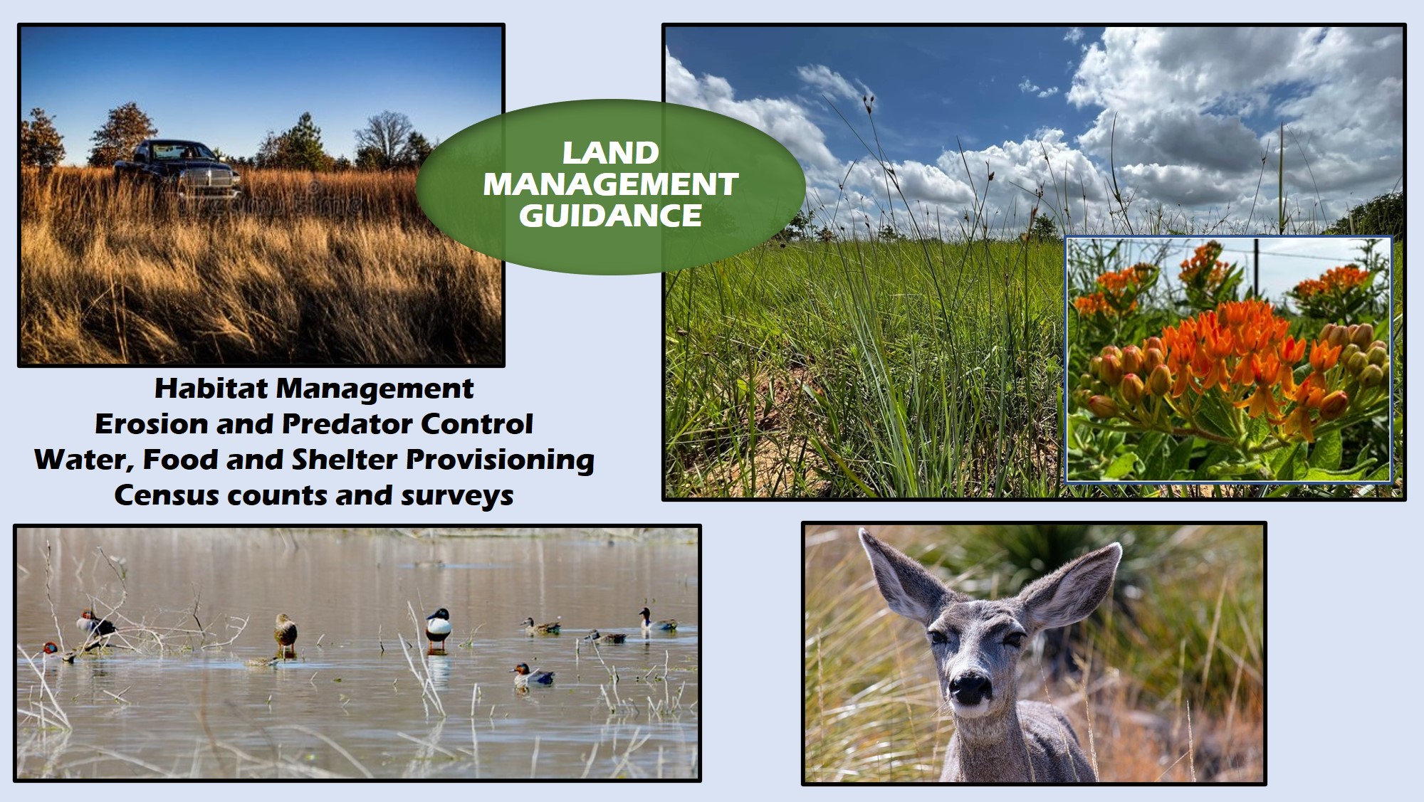 Land Management Guidance